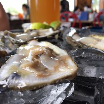 Deckhand Oyster Bar - They make sure the oysters have a good size. - Seafood Near Me - Austin, Texas Deckhand Oyster Bar - They make sure the oysters have a good size. - Seafood Near Me - Austin, Texas