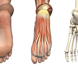 Ottawa Foot Care & Orthotics