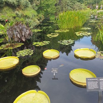 Denver Botanic Gardens - Beautiful ponds - Botanical Gardens Near Me - Denver, Colorado