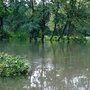 Photo of Löbbeckes Insel