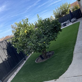 Tran's Landscaping - Landscaping Near Me