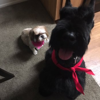 Annie's Pet Parlor - Pet Groomers Near Me - Phoenix, Arizona