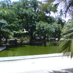 Parque 13 de Maio