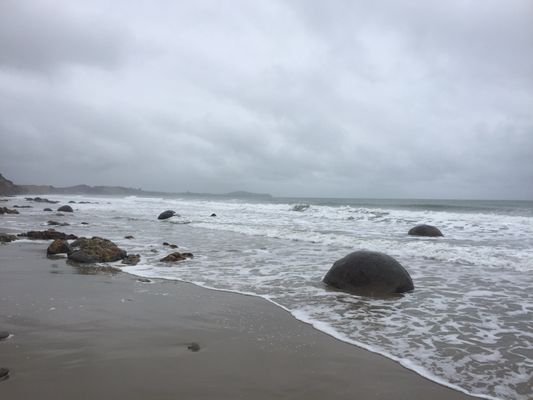 Moeraki Boulders Beach by null