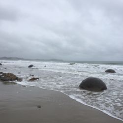 Moeraki Boulders