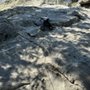 Ground Up Climbing Guides