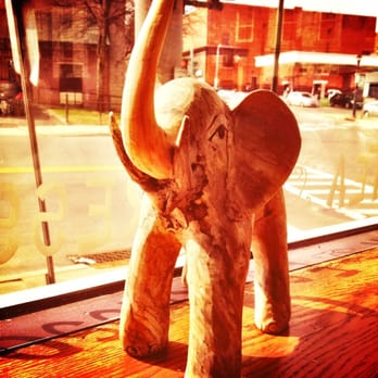 Coffee Planet - Sunny elephant in the window of Coffee Planet. - Coffee & Tea Near Me - Ballston Spa, New York
