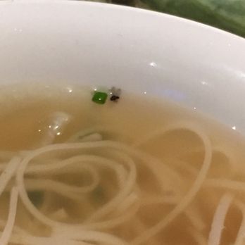 Pho-Ever - Fly in soup - Vietnamese Near Me - Encinitas, California