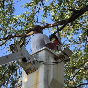 Hoover Construction - Tree Services Near Me - Torrington, Wyoming Hoover Construction - Tree Services Near Me - Torrington, Wyoming