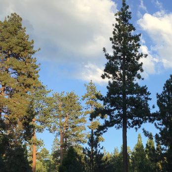 Barton Flats Campground - Campgrounds Near Me - San Bernardino, California Barton Flats Campground - Campgrounds Near Me - San Bernardino, California