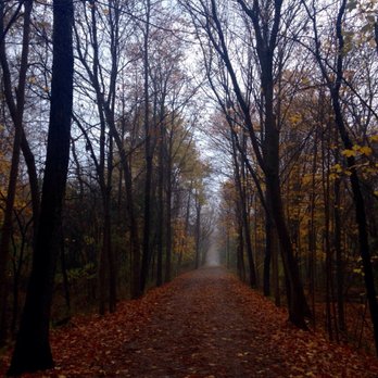 Paint Creek Trail - A misty autumn day--Fall of 2016 - Hiking Near Me - Rochester, Michigan Paint Creek Trail - A misty autumn day--Fall of 2016 - Hiking Near Me - Rochester, Michigan