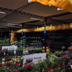 Walmart Supercenter - Garden center