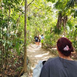 Selvatica - Walking back after Cenote