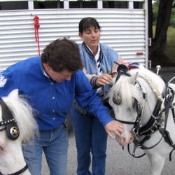 Morning Star Ranch - Sheba & Riles with Jan & Maria