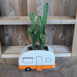 Bloomin 90 General Store - #homedecor #accessories #handbags #jewelry #handmade #soap #leathergoods #plants #planters #cactus #fairtrade #vintage #antiques #fall