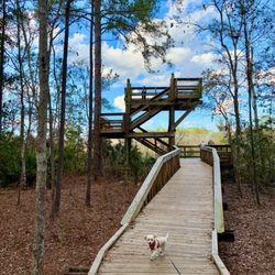 Tillie K Fowler Regional Park