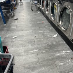 Laundry Kingdom Of Shirley - That's just one are entire establishment is filthy today