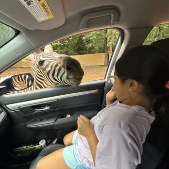 Cherokee Trace Drive Thru Safari - Parks Near Me - Jacksonville, Texas