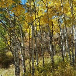 Village Loop Trail