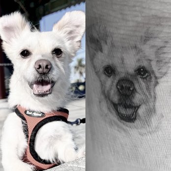 Mateo Studio LA - Tattoo Near Me - Los Angeles, California Mateo Studio LA - Tattoo Near Me - Los Angeles, California