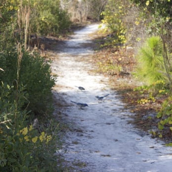 Brevard County - Trail - Parks Near Me - Rockledge, Florida