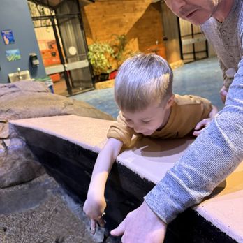 Living Shores Aquarium - Aquariums Near Me - Glen, New Hampshire