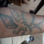 Photo of Mario INK