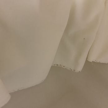 Quality Inn - Moldy shower curtain - Hotels Near Me - Durand, Michigan