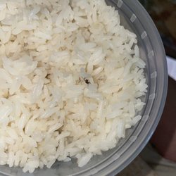 Best Buffet - Bug in White Rice