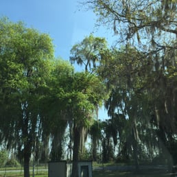 Nice trees. Nice trees.