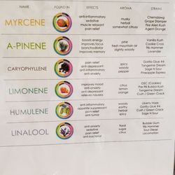 Elite Health & Wellness - Simple chart