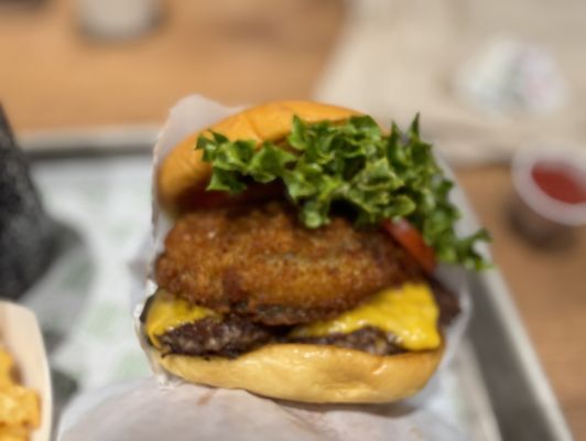 Shake Shack San Marcos by null