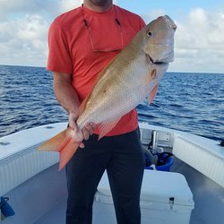 Waypoint Fishing