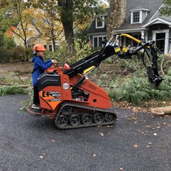 Charles River Tree Company - Soren in the dingo