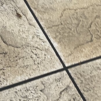 Da-Lat - The roach still crawling casually - Vietnamese Near Me - San Jose, California Da-Lat - The roach still crawling casually - Vietnamese Near Me - San Jose, California