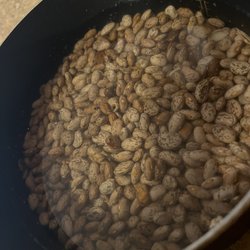 Dearborn Fresh - Really bad dry bean pinto I found insect inside don't every buy and when u buy see the bag.