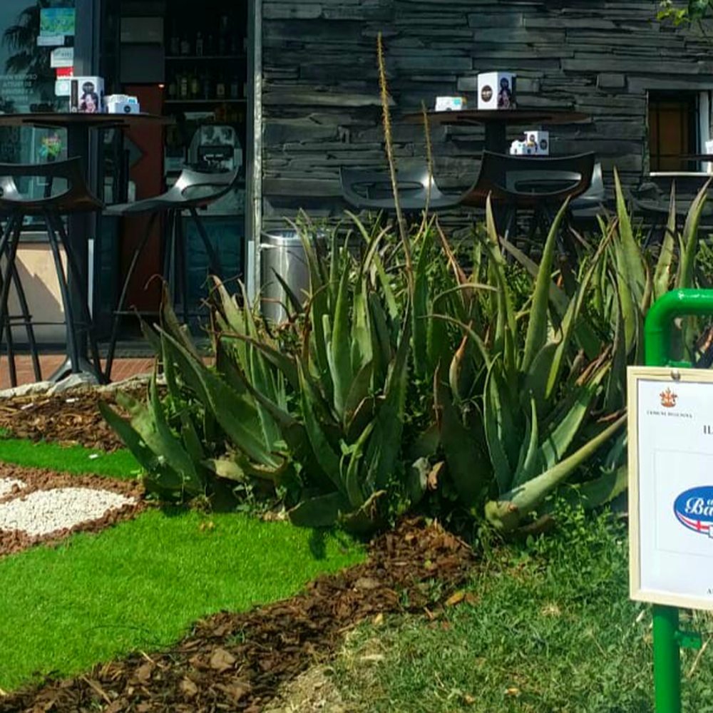 THE BEST 10 LANDSCAPING in BOLOGNA, ITALY - Updated 2025 - Hours - Yelp, image size:1000x1000