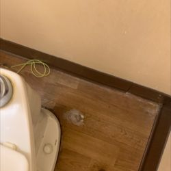 Unclean bathrooms