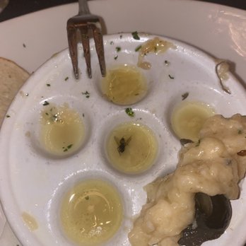 Bastien's - Escargot with a fly - Steakhouses Near Me - Denver, Colorado Bastien's - Escargot with a fly - Steakhouses Near Me - Denver, Colorado