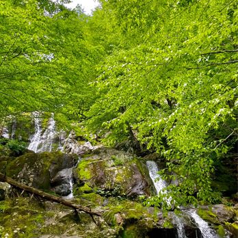 Shenandoah National Park - Parks Near Me - Luray, Virginia Shenandoah National Park - Parks Near Me - Luray, Virginia