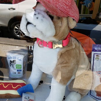 Bark Harbor - Pet Stores Near Me - Bar Harbor, Maine