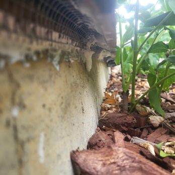 Keep Animals Out - Wildlife Control Near Me Keep Animals Out - Wildlife Control Near Me