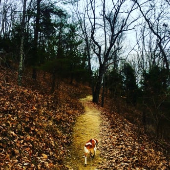 Jefferson Memorial Forest - Parks Near Me - Fairdale, Kentucky Jefferson Memorial Forest - Parks Near Me - Fairdale, Kentucky