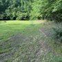 Photo of Complete Curb Appeal