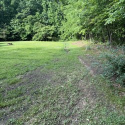 Complete Curb Appeal - Before picture of dry river bed