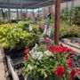Sierra Vista Growers