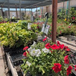 Sierra Vista Growers