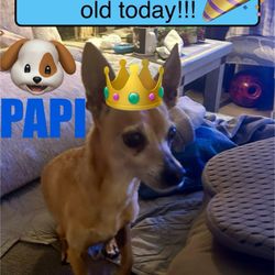 Killeen Police Department - Papi's Birthday