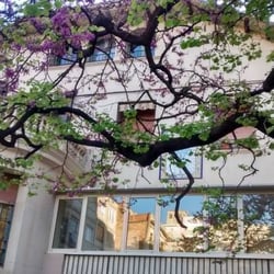 Escola Nausica