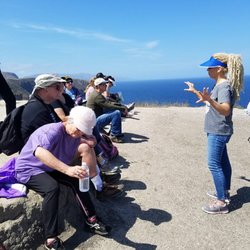 Talking Island Foxes on Santa Cruz....